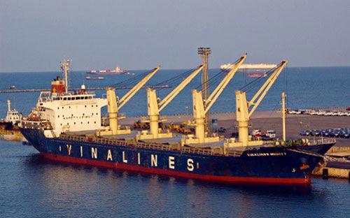 Vinalines hiện có vốn điều lệ 10.693 tỷ đồng, hoạt động trong các ngành 
nghề chính như: kinh doanh vận tải đường biển, đường thuỷ nội địa, đường
 bộ, đa phương thức, khai thác cảng biển, cảng sông, kinh doanh kho bãi,
 dịch vu logistics…