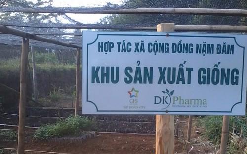 Vừa qua GFS đã cùng UBND tỉnh Hà Giang triển khai dự phát triển 
dược liệu tại tỉnh Hà Giang trong chương trình phát triển dược liệu gắn 
với xóa đói giảm nghèo tại các huyện vùng 30A.