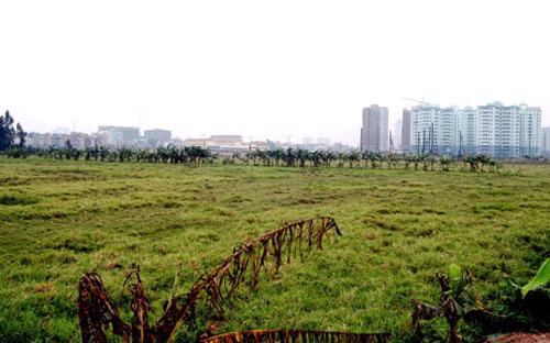 Hạn cuối cùng là 31/5/2014, việc thanh kiểm tra sử dụng đất tại các dự án phải kết thúc, báo cáo lãnh đạo thành phố.<br>