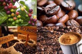 Viettel Global sẽ trình đại hội đồng cổ đông về việc bổ sung ngành nghề mới là kinh doanh xuất nhập khẩu cafe.