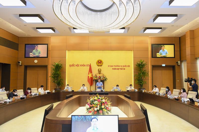 Phiên họp thứ 56 của Uỷ ban Thường vụ Quốc hội - Ảnh: Quochoi.vn