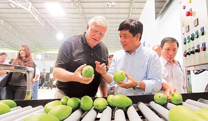 Vietnamese mangoes have been sent to the US after six years of negotiations.