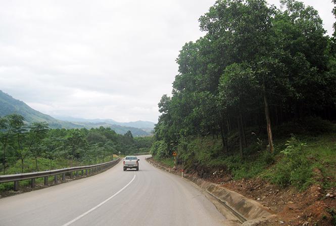 Một đoạn Quốc lộ 12A đi qua địa phận tỉnh Quảng Bình. 