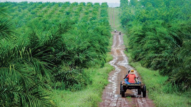 Bất chấp đại dịch Covid 19 và bất ổn leo thang toàn cầu, vốn đầu tư ra nước ngoài của các doanh nghiệp Việt Nam vẫn tăng mạnh.