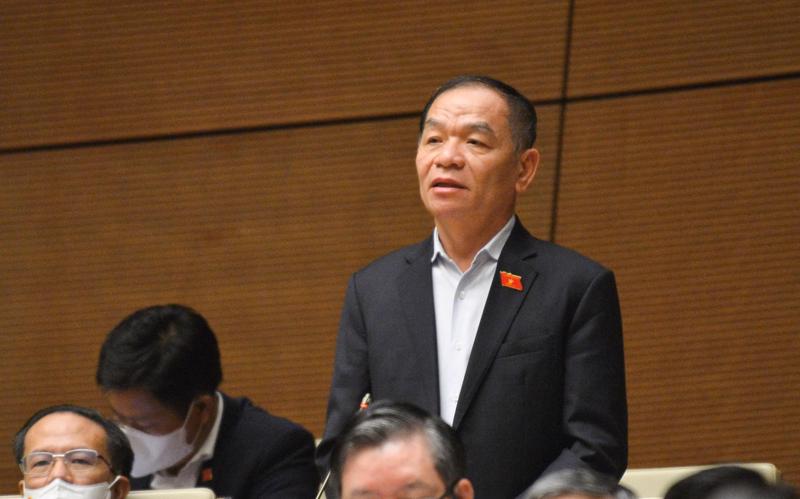 Đại biểu Lê Thanh Vân (Cà Mau) - Ảnh: VGP