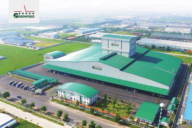 GreenFeed có hệ thống 9 nhà máy sản xuất thức ăn chăn nuôi hiện đại tại Việt Nam, Campuchia, Myanmar, Lào, với tổng công suất trên 2 triệu tấn sản phẩm hàng năm.
