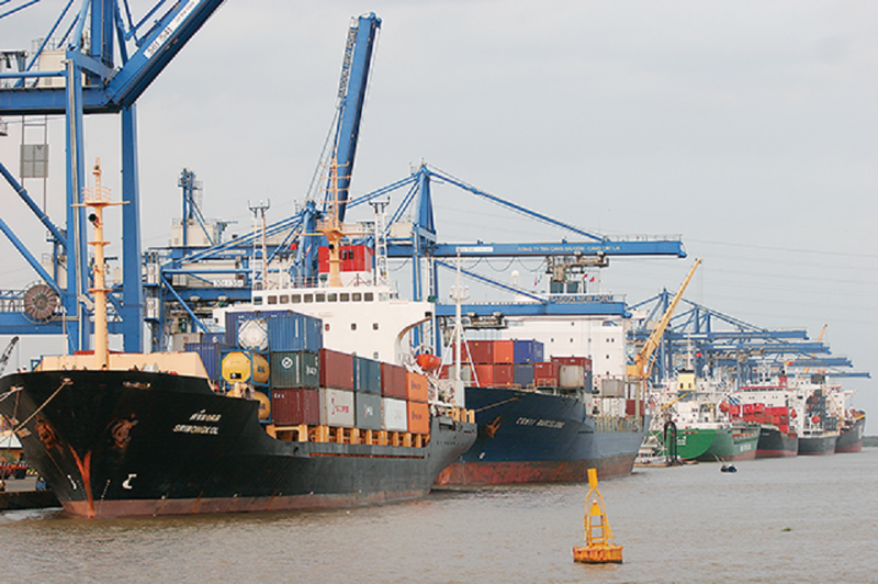 Giá vận chuyển biển từ Việt Nam sang Mỹ tăng khiến doanh nghiệp gặp khó.