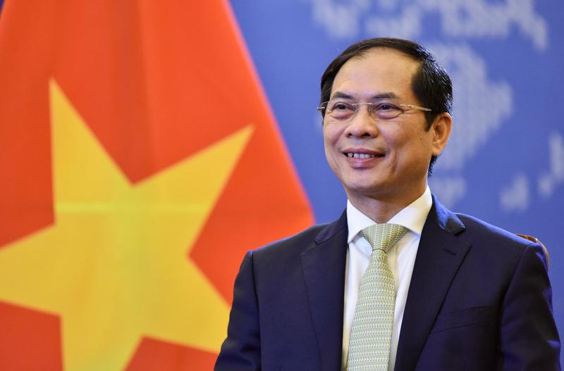 Bộ trưởng Ngoại giao Bùi Thanh Sơn - Ảnh: Bộ Ngoại giao