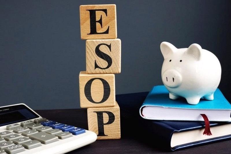 Người mua cổ phiếu ESOP có thể thu được món hời nếu tỷ lệ bán không pha loãng quá mức