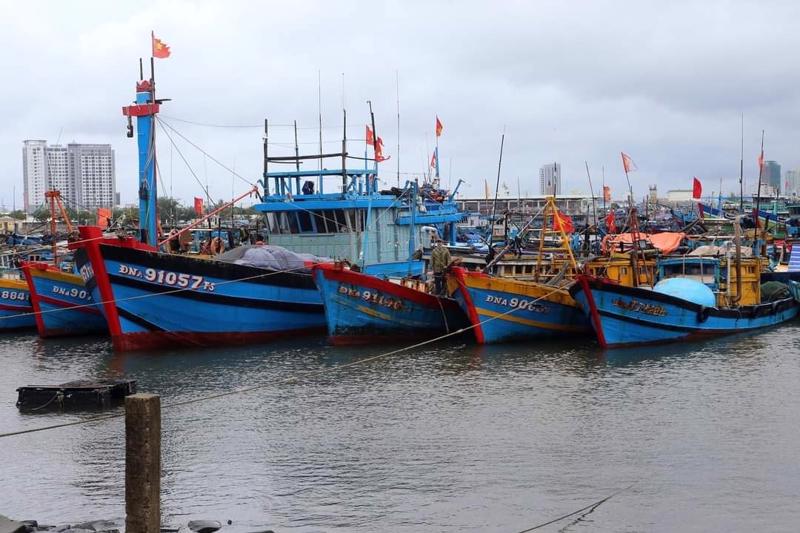  Tàu cá tránh bão số 9 tại Âu thuyền Thọ Quang.