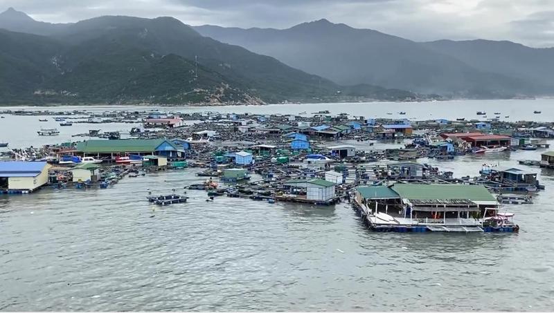 Ngư dân nuôi tôm hùm ở đảo Bình Hưng gặp thiệt hại nặng vì sóng lớn 