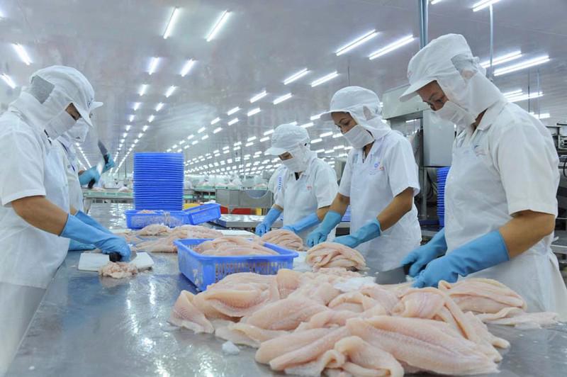 Xuất khẩu thủy sản của Việt Nam đang là điểm sáng của ngành kinh tế