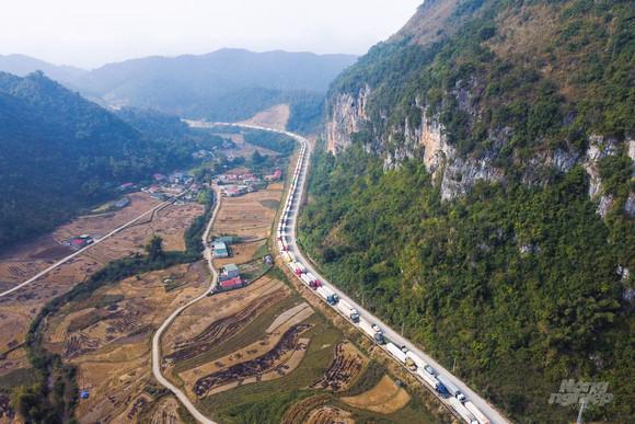 Hàng ngàn xe chở nông sản vẫn "vật vã" tại các cửa khẩu Lạng Sơn