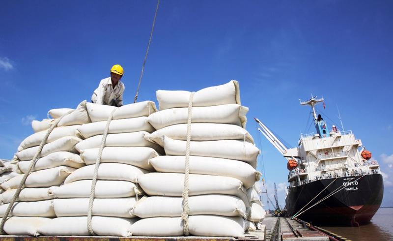 Trị giá thu từ xuất khẩu gạo sang EU tăng mạnh.