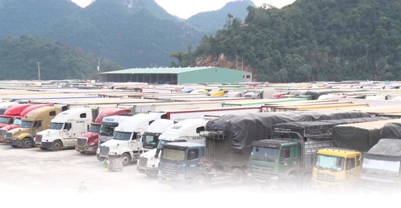 Vietnam - China Trade Facilitation Working Group meets for first time