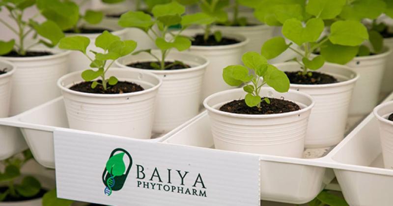 Một cơ sở nghiên cứu của Baiya - Ảnh: Baiya 