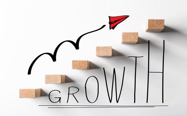 VinaCapital identifies stocks to post outstanding growth in 2022