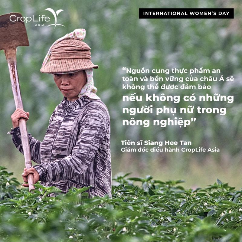 Phụ nữ sản xuất nông nghiệp chịu nhiều thiệt thòi.