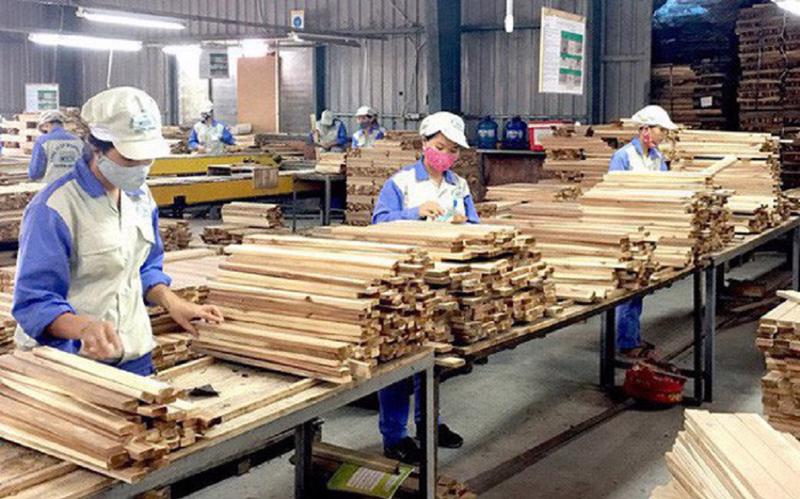 Ngành sản xuất gỗ đứng trước nguy cơ thiếu nguyên liệu.
