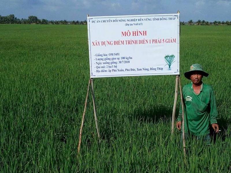 Dự án VnSAT nâng cao chuỗi giá trị lúa gạo