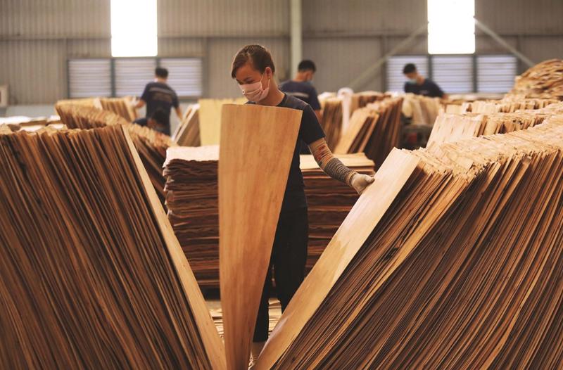 4 sản phẩm gỗ xuất sang Hoa Kỳ có nguy cơ bị áp dụng biện pháp chống lẩn tránh, gian lận xuất xứ.