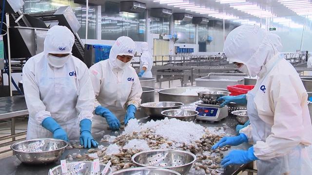 Seaport and logistics services needed in Mekong Delta