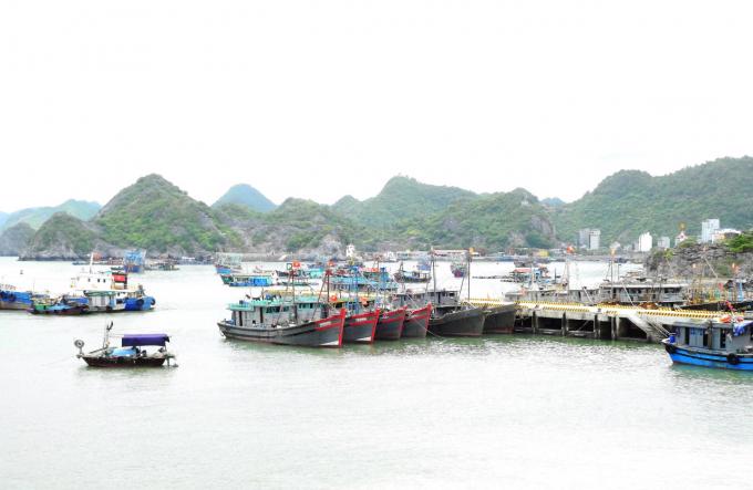 EC vẫn giữ cảnh báo “Thẻ vàng” IUU đối với thủy sản khai thác của Việt Nam