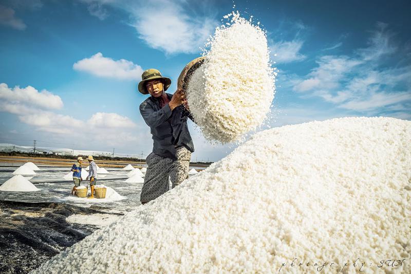 Nâng giá trị sản xuất nông nghiệp, hạt muối có thể bán với giá trị gấp 40 lần.