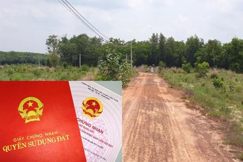 Nhiều sổ đỏ tại Quảng Nam đã được cấp có diện tích đất thổ cư lên đến 5.000 – 7.000m2.