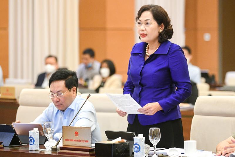 Bà Nguyễn Thị Hồng, Thống đốc Ngân hàng Nhà nước phát biểu tại phiên họp
