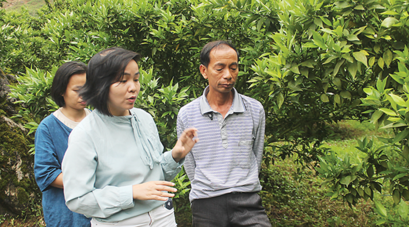 Chị Nguyễn Thị Thu - CEO của MEVI trao đổi kinh nghiệm kỹ thuật chăm sóc cây ăn quả với nông dân Sơn La.