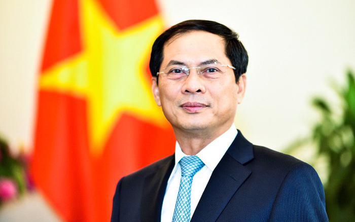 Bộ trưởng Bộ Ngoại giao Bùi Thanh Sơn - Ảnh: VGP