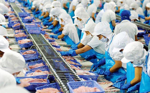 Các doanh nghiệp xuất khẩu cá tra Việt Nam đang đạt nhiều kết quả thuận lợi trong quý I/2022