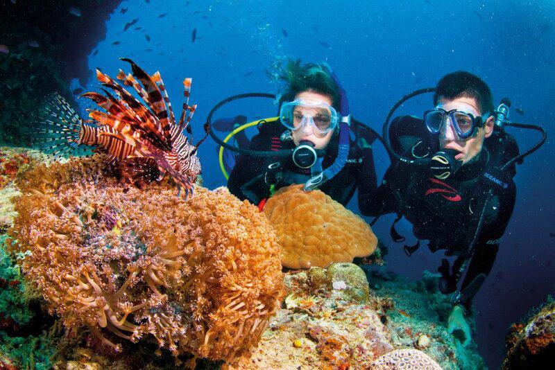 Dịch vụ lặn biển ngắm san hô tại khu vực biển Hòn Mun, Nha Trang sẽ bị tạm dừng
