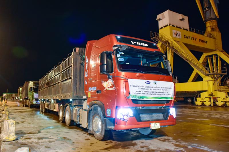 Đoàn xe 35 chiếc đón 1000 bò sữa thuần chủng HF từ cảng quốc tế Nghi Sơn (Thanh Hóa) và di chuyển về cửa khẩu Nậm Cắn ngay trong đêm.