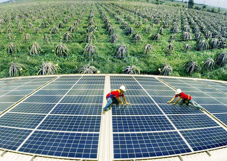 WB khuyến nghị Việt Nam tăng tốc quá trình chuyển dịch sang năng lượng tái tạo.