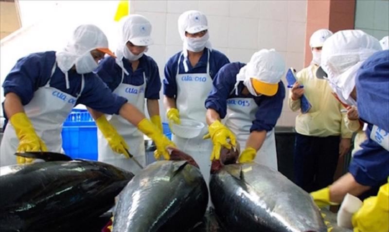 Xuất khẩu cá ngừ tăng cao