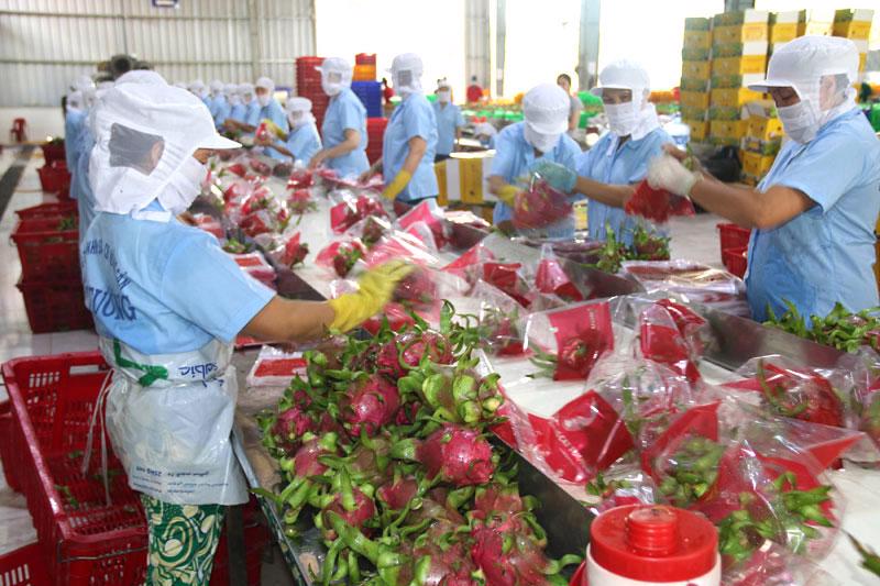 Nông sản của Việt Nam chủ yếu là xuất khẩu thô.