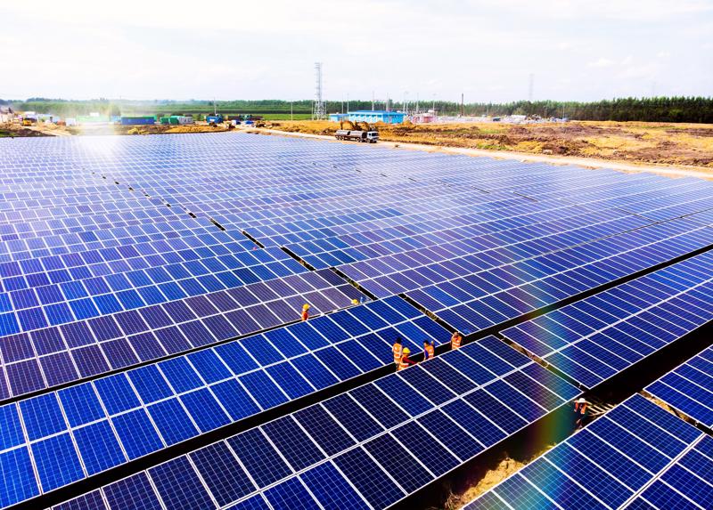 Mảng năng lượng tái tạo đóng góp 584,7 tỷ đồng vào doanh thu 6 tháng đầu năm của BCG.
