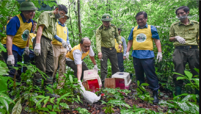 Các đại biểu thực hiện việc tái thả động vật hoang dã về rừng Cúc Phương.