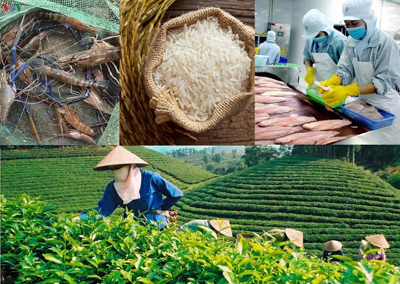 Việt Nam đứng thứ 15 trên thế giới và đứng thứ hai Đông Nam Á về kim ngạch xuất khẩu hàng nông lâm thủy sản.
