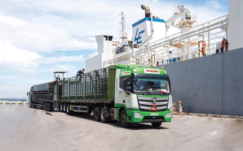 Xe chuyên dụng THILOGI tiếp nhận bò nhập khẩu tại cảng để vận chuyển đến trang trại.