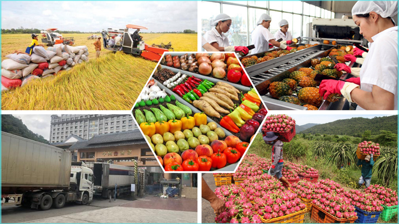 Trung Quốc là thị trường tiềm năng cho hàng nông sản.