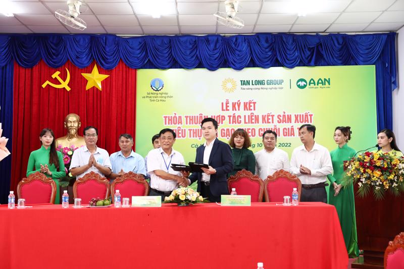 Doanh nghiệp “bắt tay” cùng Sở Nông nghiệp và Phát triển nông thôn, các hợp tác xã để liên kết sản xuất, tiêu thụ lúa gạo theo chuỗi tại nhiều tỉnh thành thuộc Đồng bằng sông Cửu Long.