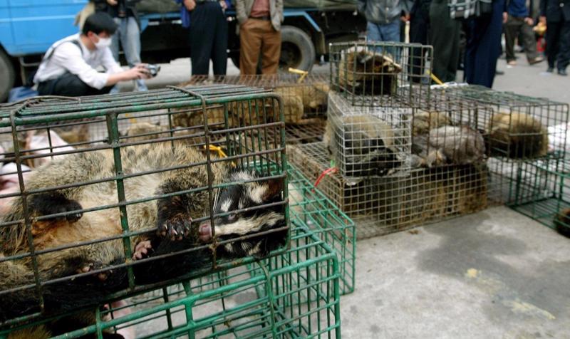 Việt Nam là quốc gia có mức độ sử dụng thịt động vật hoang dã cao.