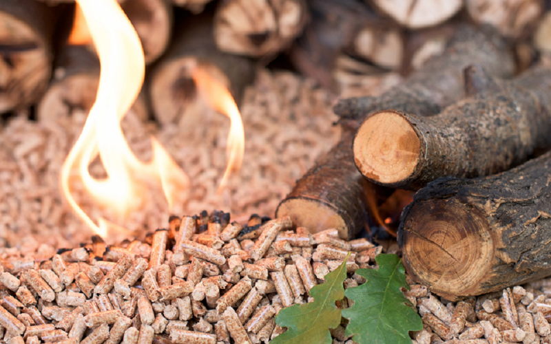 Viên nén gỗ có tiềm năng trở thành mặt hàng có giá trị xuất khẩu trên 1 tỷ USD/năm.