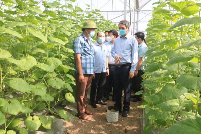 - Lãnh đạo tỉnh Thanh Hóa đến thăm mô hình nông trại dưa công nghệ cao tại huyện Thiệu Hóa
