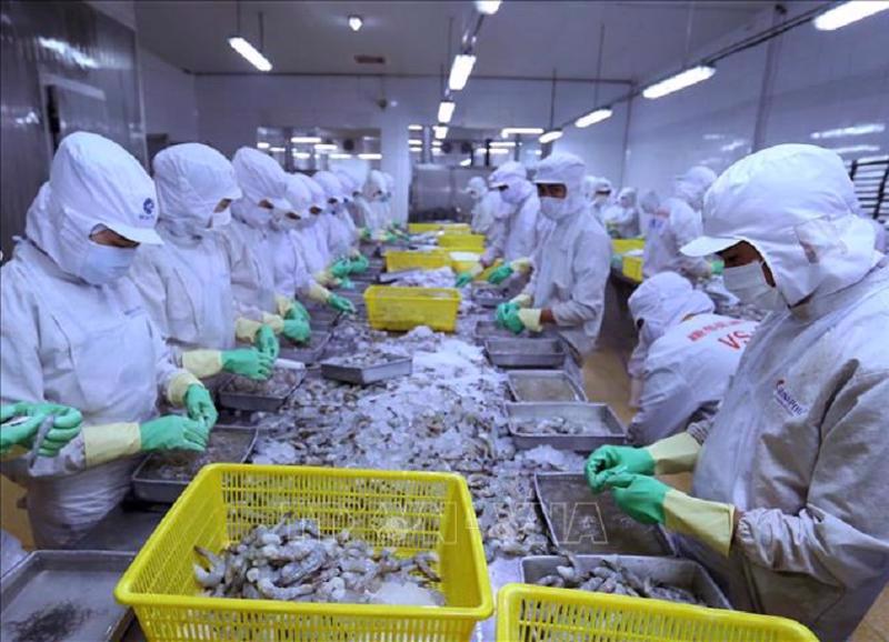 Many seafood businesses appeared on the list of reputable exporters. Photo: VnEconomy