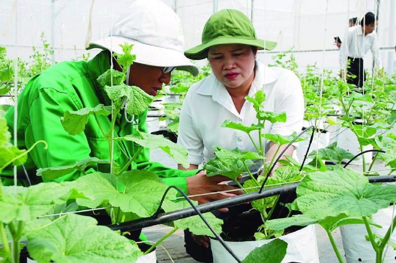 Vietnam targets developing sustainable agriculture.