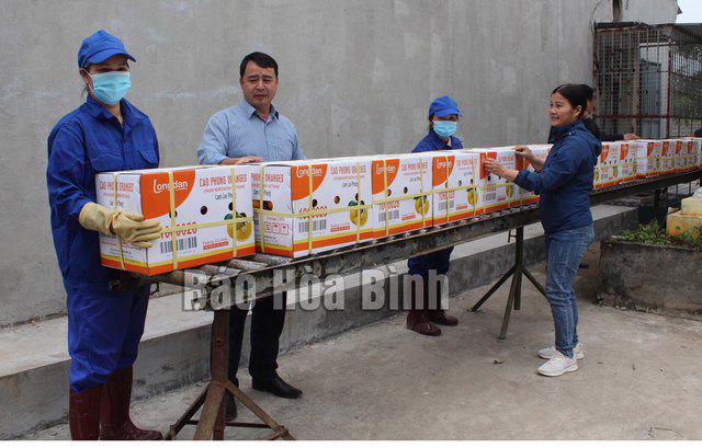 An initial seven tons of Cao Phong oranges have been exported to the UK.